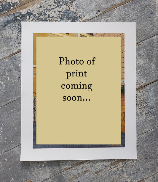 Detail - Cathedral of Santa Maria del Fiore Print