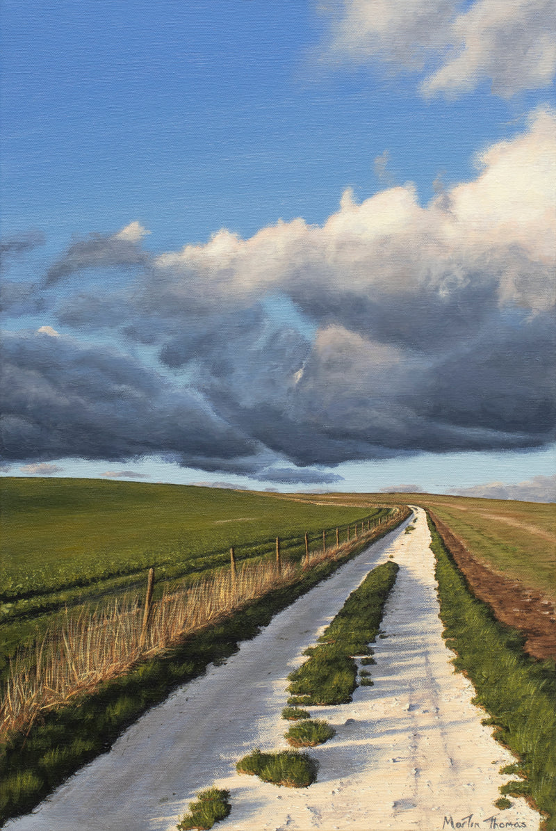 Painting by Martin Thomas of a chalk track on the South Downs