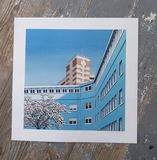 Art print of a painting by Martin Thomas titled Magnolia in Porto